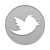 Join BFA+D on Twitter